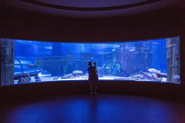 Familie observeren van vis in het aquarium — Stockfoto