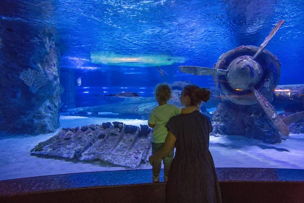 Família observando peixes no aquário — Fotografia de Stock