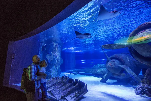 Familie beobachtet Fische im Aquarium — Stockfoto