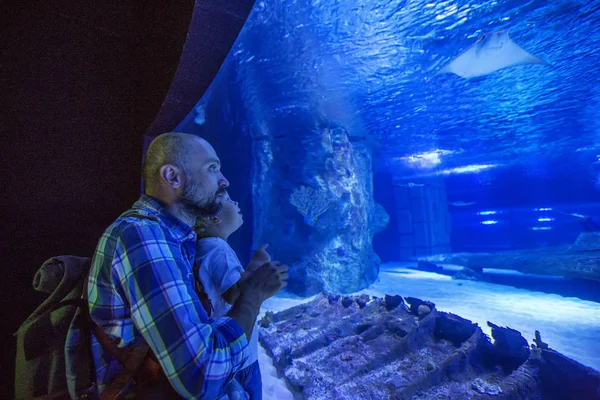 Família Observando Peixes Aquário — Fotografia de Stock