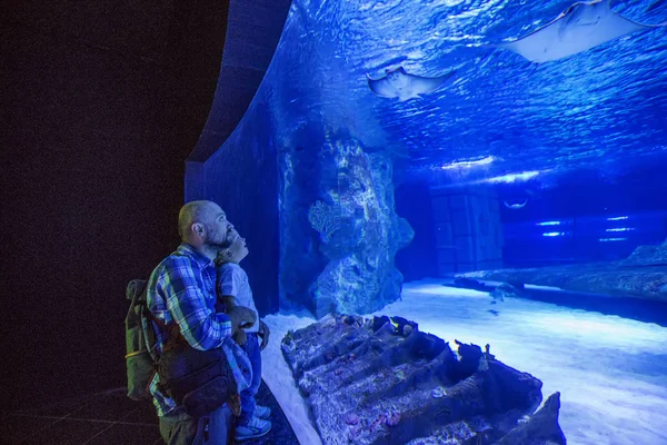 Familie beobachtet Fische im Aquarium — Stockfoto