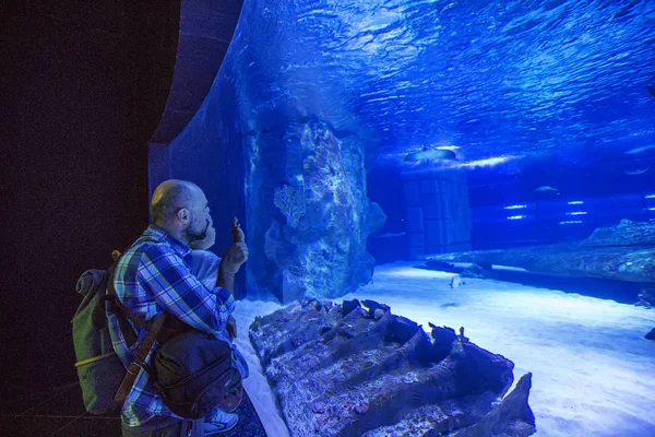 Família observando peixes no aquário — Fotografia de Stock