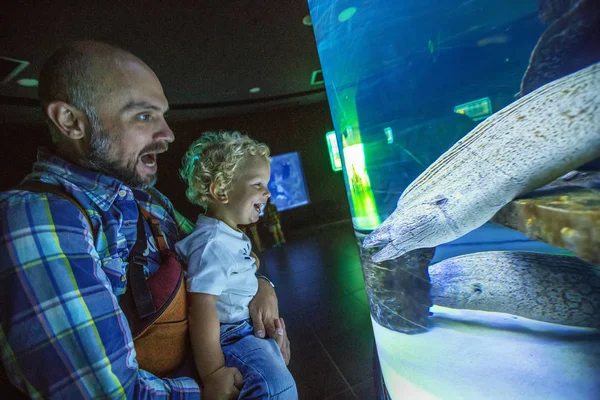 Rodina pozorovat ryby v akváriu — Stock fotografie