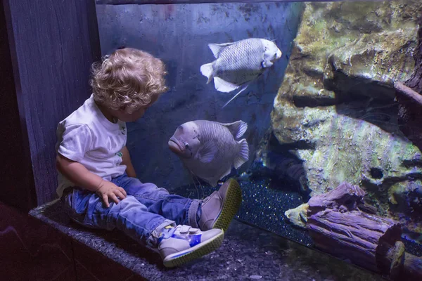 Akvaryumda balık gözlemleyerek aile — Stok fotoğraf