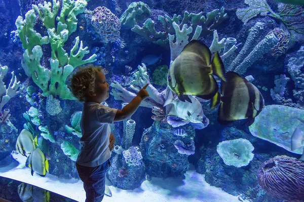 Família observando peixes no aquário — Fotografia de Stock