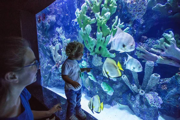 Famiglia che osserva i pesci all'acquario — Foto Stock