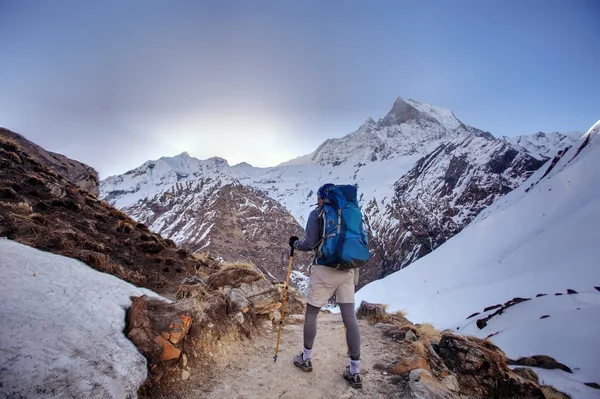 A módja annak, hogy Annapurna base camp, Nepál Trekker — Stock Fotó