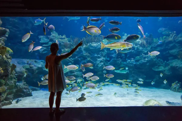 Mulher no oceanário — Fotografia de Stock