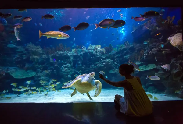 Mulher no oceanário brinca com a tartaruga — Fotografia de Stock