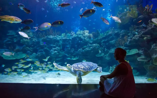 Oceanarium kadında — Stok fotoğraf