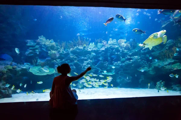 Kobieta w oceanarium — Zdjęcie stockowe