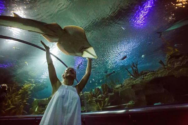 Žena v oceanarium — Stock fotografie