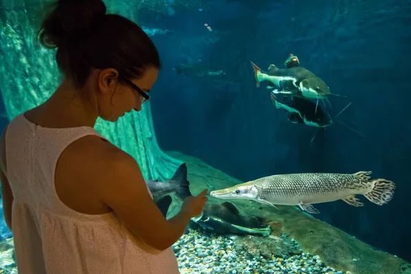 Mulher no oceanário perto de peixe de charuto de jacaré — Fotografia de Stock