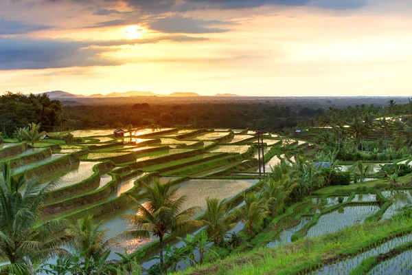 日の出、インドネシアの中にバリ島の有名なジャティルイ ライス テラス — ストック写真