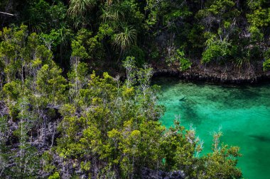 Piaynemo Adası, Raja Ampat, Endonezya 'nın bakış açısından