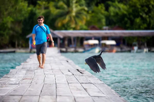 Člověk at the molo of Pulau Kri island, Raja Ampat Regence, Indones — Stock fotografie