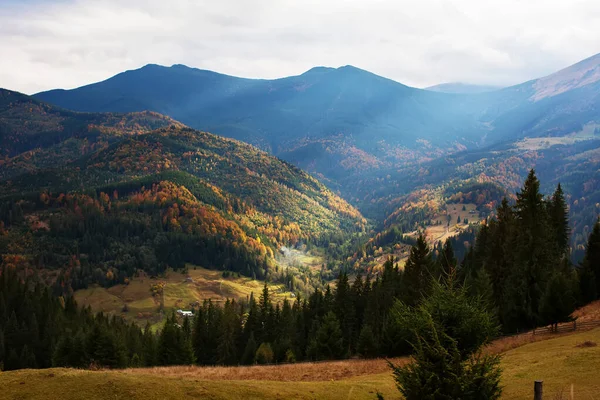 Карпатские горы осенью — стоковое фото