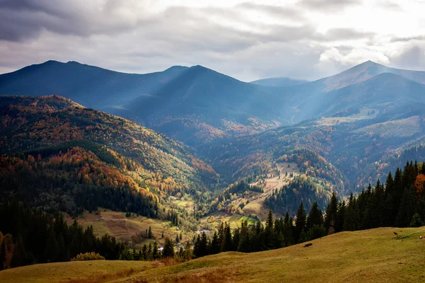 Montanhas Cárpatas na temporada de outono — Fotografia de Stock