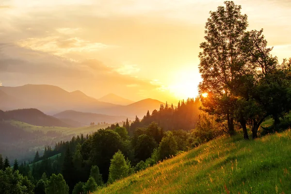 Schöner Sonnenuntergang Den Karpaten — Stockfoto