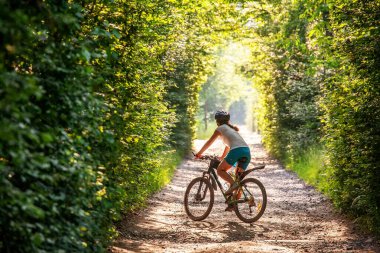 Güzel yeşil ormanda bisiklet süren bir kadın. Macera, bisiklet.
