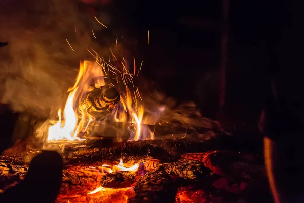 Bonfire Nature Night — Stock Photo, Image