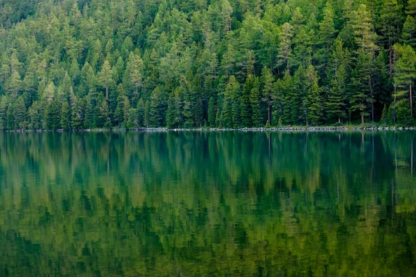 Зелене Озеро Між Горами Похмурий День — стокове фото