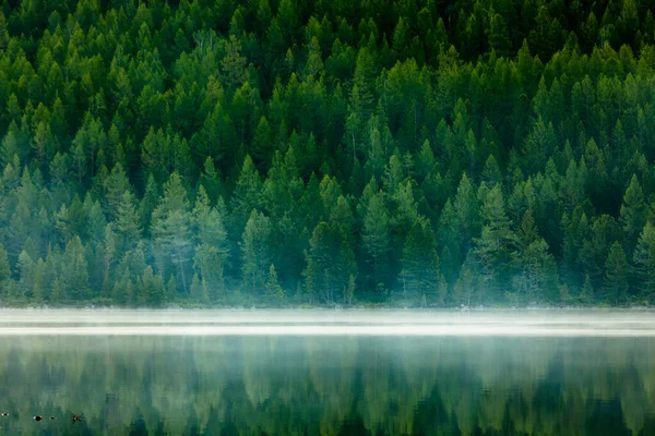 Green Lake Mountains Cloudy Day — Stock Photo, Image