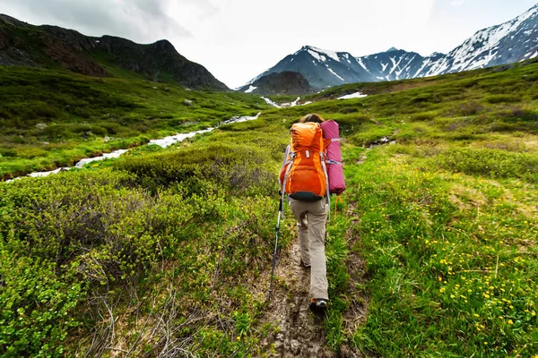 Hiker Pegunungan Altai — Stok Foto