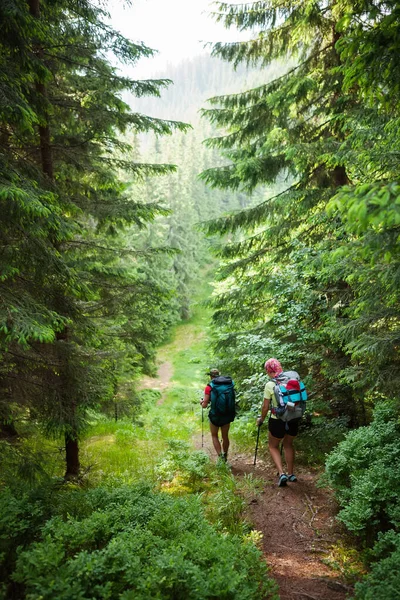 Ungdomar Vandrar Karpaterna — Stockfoto