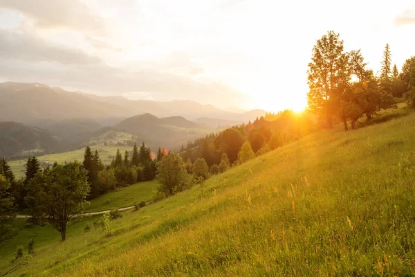 ดวงอาท ตกท สวยงามในภ เขา Carpathian — ภาพถ่ายสต็อก