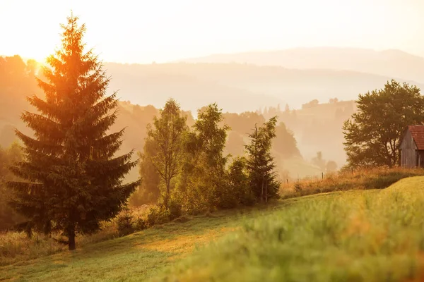 ดวงอาท ตกท สวยงามในภ เขา Carpathian — ภาพถ่ายสต็อก