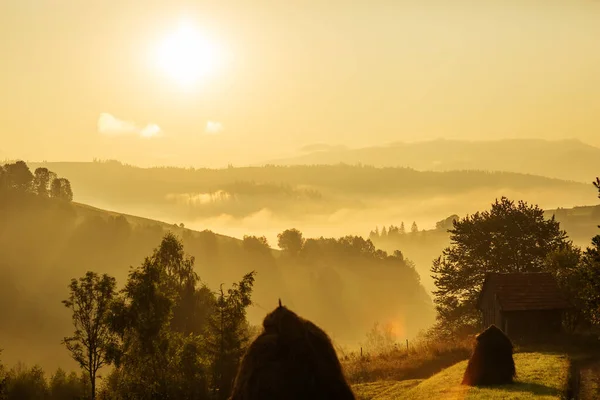 Matahari Terbenam Yang Indah Pegunungan Carpathian — Stok Foto
