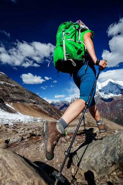 Wanderer Genießt Die Aussicht Himalaya Gebirge — Stockfoto