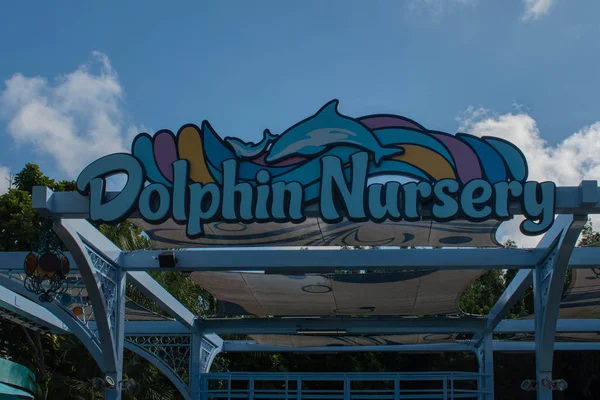 Orlando Florida Oktober 2019 Top Zicht Dolfijn Kwekerij Bij Seaworld — Stockfoto