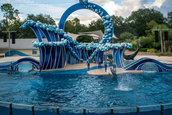 Orlando Florida Noviembre 2019 Delfines Saltando Dolphin Days Show Seaworld — Foto de Stock