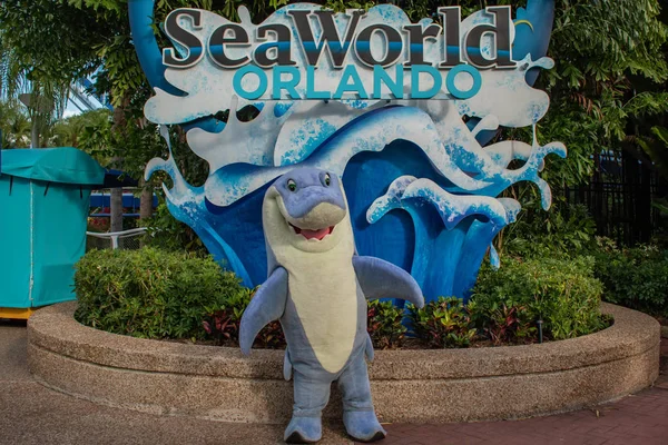Orlando Florida Novembre 2019 Simpatico Personaggio Delfino Seaworld — Foto Stock