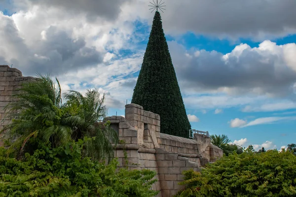 Orlando Florida Noviembre 2019 Vista Superior Del Árbol Navidad Sobre — Foto de Stock