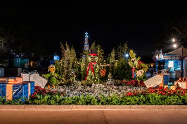Orlando, Florida. 29 Kasım 2019. Donald, Chip, Dale, Kardan Adam ve Goofy Epcot 'ta (73))