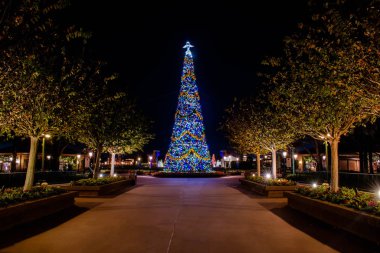 Orlando, Florida. 29 Kasım 2019. Epcot 'ta güzel bir Noel ağacı manzarası (69))
