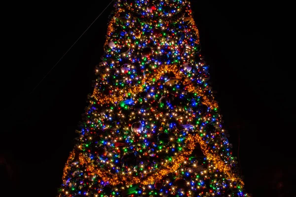 Orlando Florida November 2019 Partial View Colorful Illuminated Christmas Tree — Stock Photo, Image