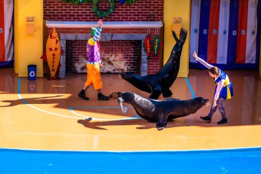Orlando, Florida. 7 Aralık 2019. Deniz Aslanı ve eğitmenleri Seaworld 'de Noel Özel Şovu tabelası (1)).