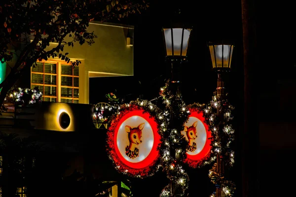 Орландо Флорида Листопада 2019 Освітлений Різдвяний Декор Вуличних Ліхтарях Голлівудської — стокове фото