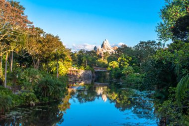 Orlando, Florida. 16 Aralık 2019. Asya 'nın panoramik manzarası Hayvanlar Krallığı' nda (151)