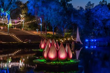 Orlando, Florida. 16 Aralık 2019. Hayvan Krallığı 'nda Işık Gösterisi Irmakları (69)).