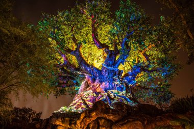Orlando, Florida. 16 Aralık 2019. Animal Kingdom 'da Noel mevsiminde Yaşam Ağacı Uyanışı (3)).
