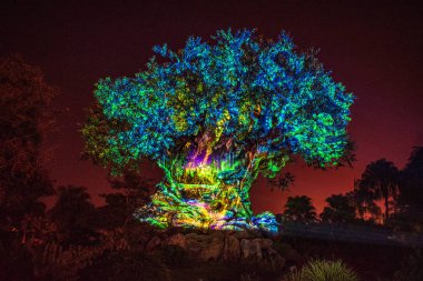 Orlando, Florida. 16 Aralık 2019. Animal Kingdom 'da Noel mevsiminde Yaşam Ağacı Uyanışı (6)).