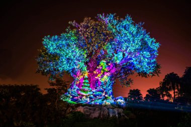 Orlando, Florida. 16 Aralık 2019. Hayvan Krallığı 'nda Noel mevsiminde Yaşam Ağacı Uyanışı (15)).