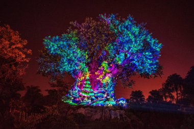 Orlando, Florida. 16 Aralık 2019. Hayvan Krallığı 'nda Noel mevsiminde Yaşam Ağacı Uyanışları (14.)