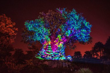 Orlando, Florida. 16 Aralık 2019. Hayvan Krallığı 'nda Noel mevsiminde Yaşam Ağacı Uyanışları (13)).