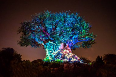 Orlando, Florida. 16 Aralık 2019. Animal Kingdom 'da Noel mevsiminde Yaşam Ağacı Uyanışı (119)).